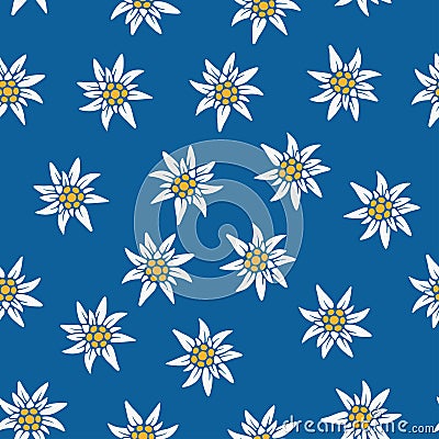 Seamless background with Edelweiss. Edelweiss in a chaotic order on a blue background. Symbol of the Alpine mountains. European Ro Vector Illustration